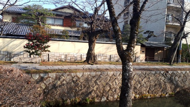 f:id:kimamanidance:20190418141655j:image