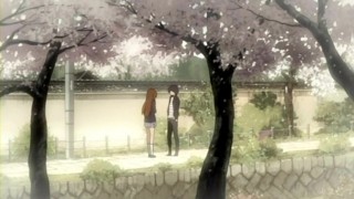 f:id:kimamanidance:20190418141731j:image