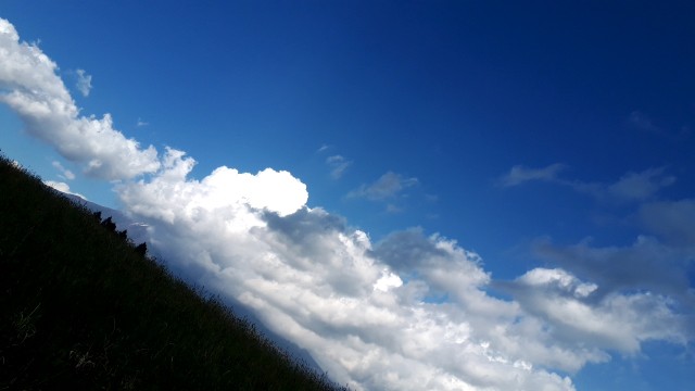 f:id:kimamanidance:20190517101609j:image f:id:kimamanidance:20190517101609j:image