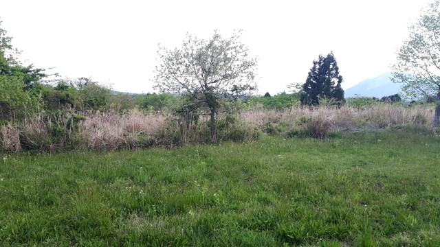 f:id:kimamanidance:20190517102145j:image f:id:kimamanidance:20190517102145j:image