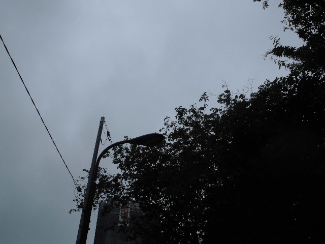 f:id:kimamanidance:20190617121121j:image f:id:kimamanidance:20190617121121j:image