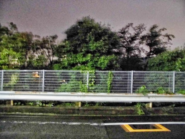 f:id:kimamanidance:20190712111724j:image