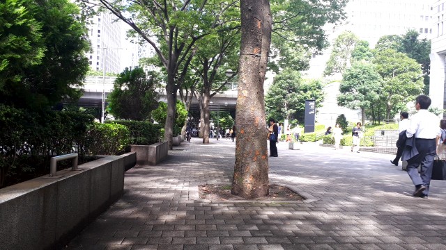 f:id:kimamanidance:20190719150538j:image f:id:kimamanidance:20190719150538j:image