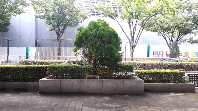 f:id:kimamanidance:20190719150554j:image f:id:kimamanidance:20190719150554j:image