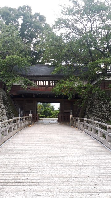 f:id:kimamanidance:20190921055313j:image