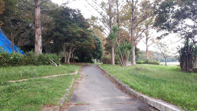 f:id:kimamanidance:20190925100237j:image