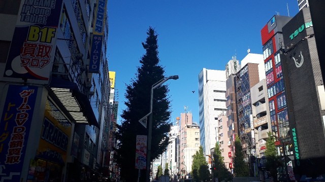 f:id:kimamanidance:20191105164828j:image