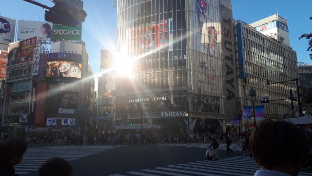 f:id:kimamanidance:20191112193657j:image