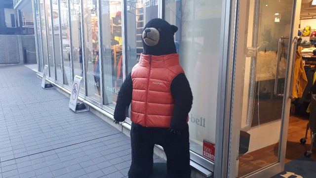 f:id:kimamanidance:20191116005203j:image f:id:kimamanidance:20191116005203j:image