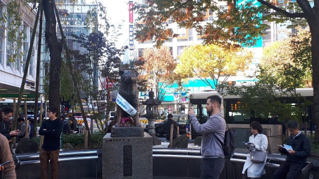 f:id:kimamanidance:20191117091348j:image f:id:kimamanidance:20191117091348j:image