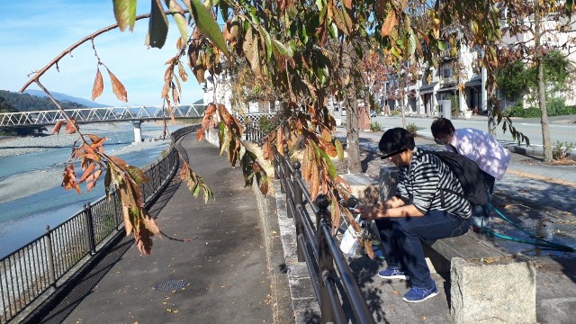 f:id:kimamanidance:20191118191306j:image