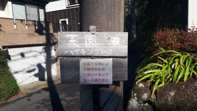 f:id:kimamanidance:20191119190851j:image