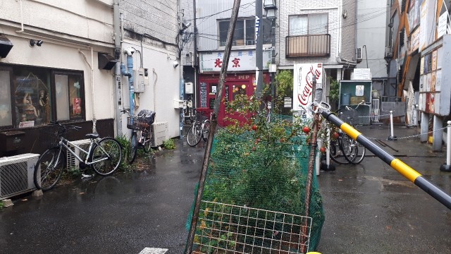 f:id:kimamanidance:20191130231943j:image