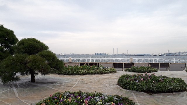 f:id:kimamanidance:20191210231722j:image