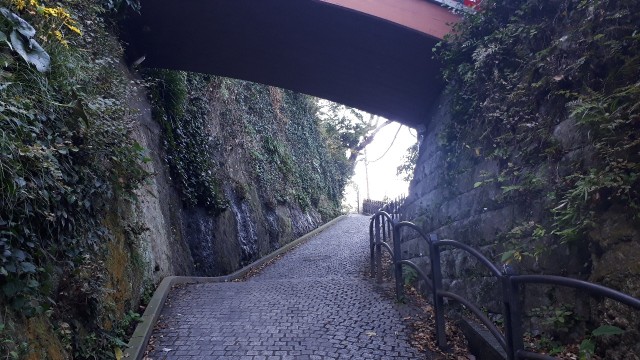 f:id:kimamanidance:20191224003415j:image