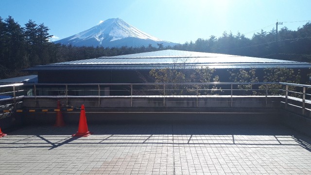 f:id:kimamanidance:20200210003135j:image f:id:kimamanidance:20200210003135j:image