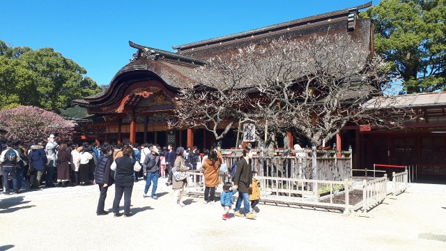 f:id:kimamanidance:20200224021043j:image