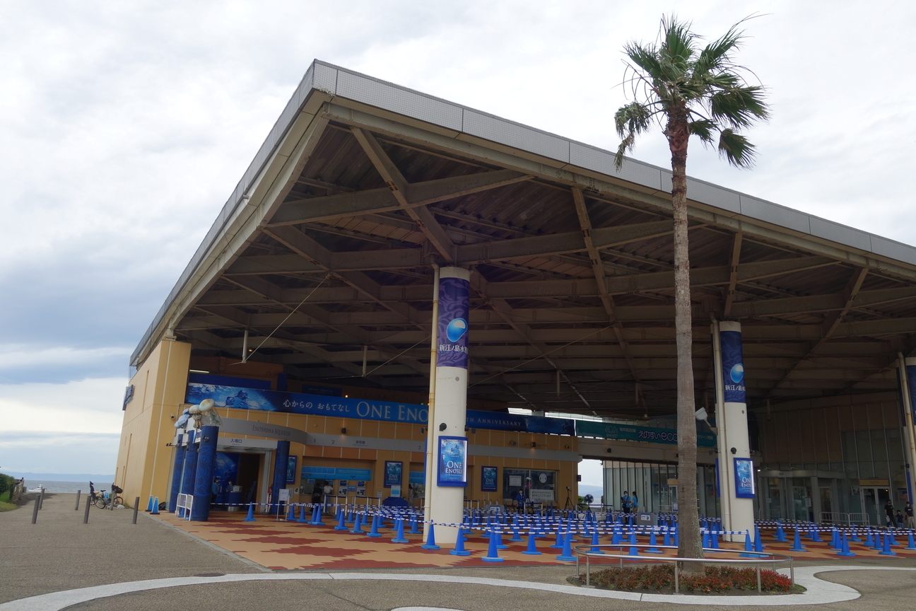 f:id:kimamanidance:20200718104502j:plain f:id:kimamanidance:20200718104502j:plain