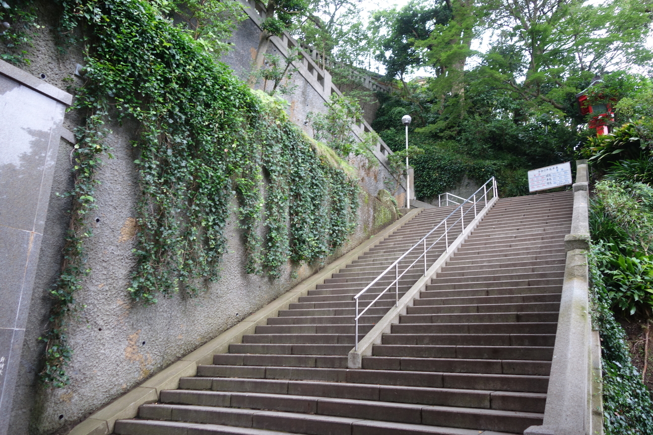 f:id:kimamanidance:20200718111643j:plain f:id:kimamanidance:20200718111643j:plain