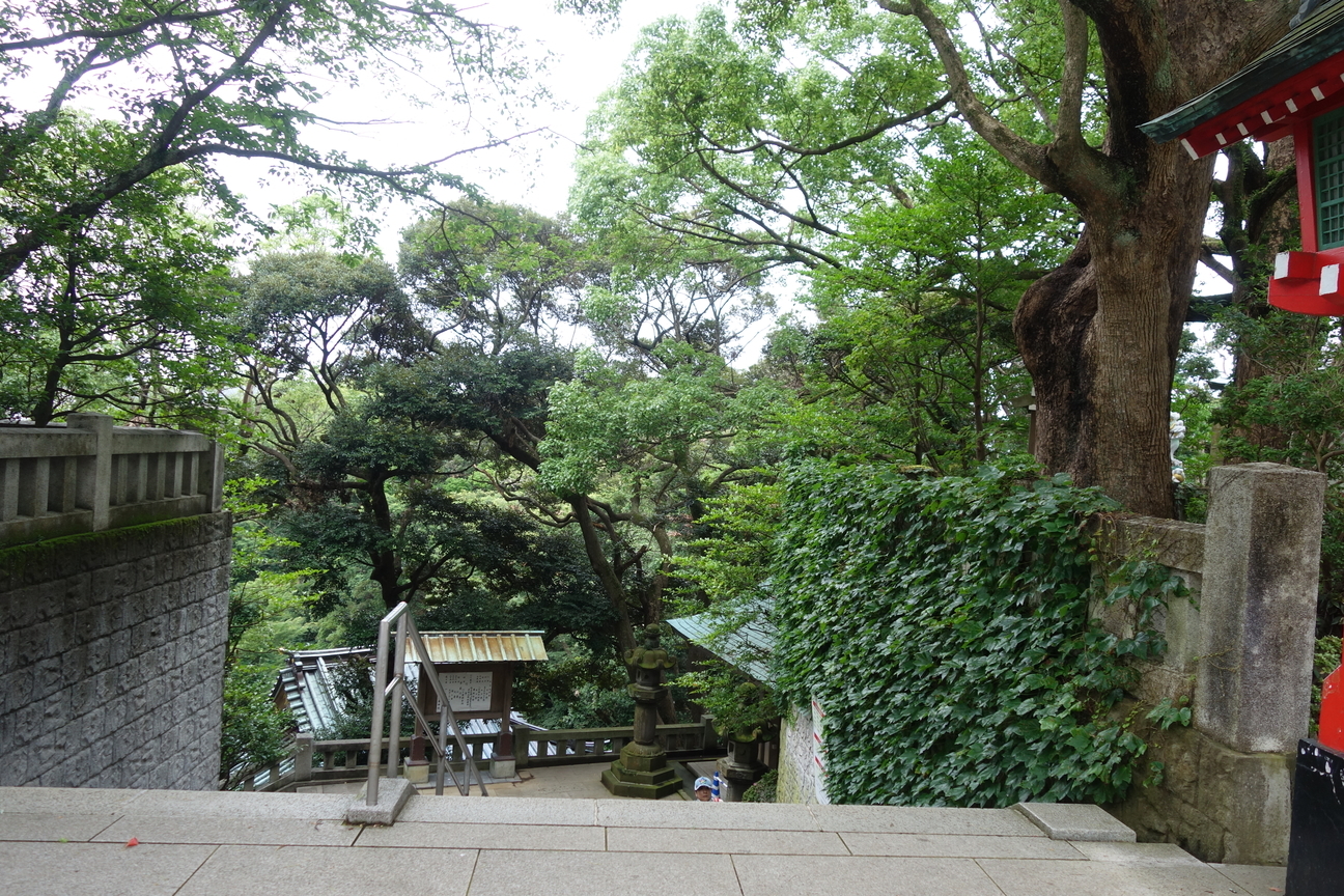 f:id:kimamanidance:20200718111734j:plain f:id:kimamanidance:20200718111734j:plain