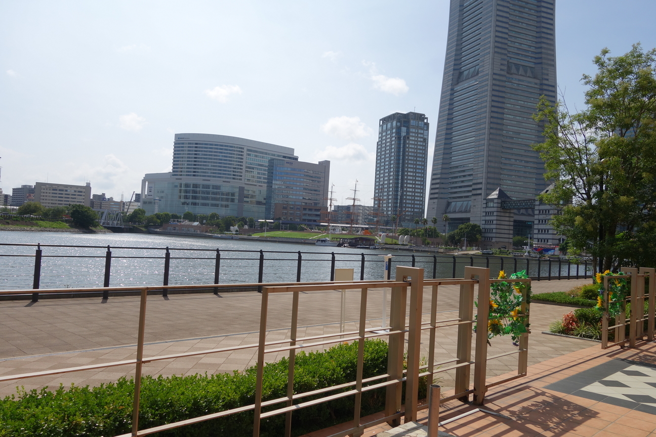 f:id:kimamanidance:20200905234509j:plain f:id:kimamanidance:20200905234509j:plain