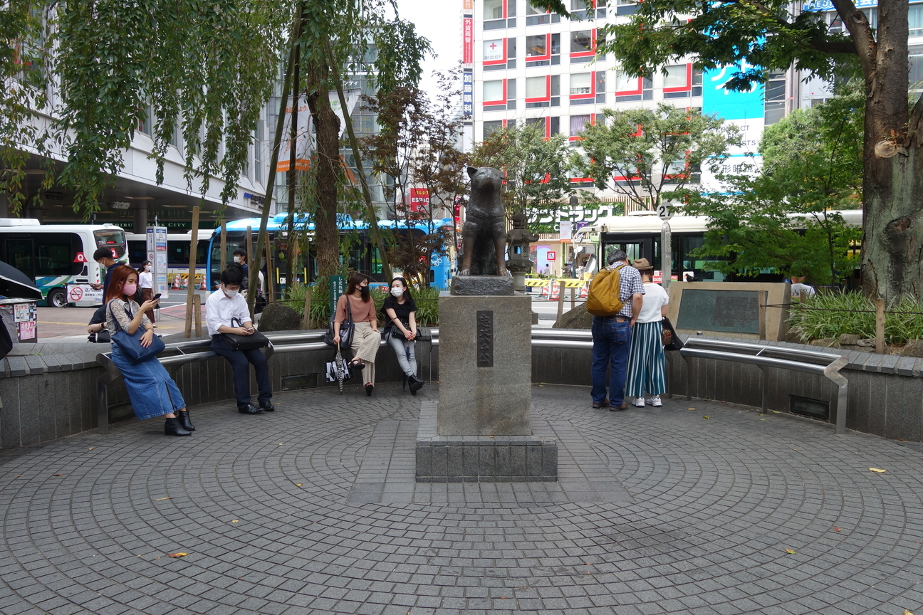 f:id:kimamanidance:20200929015209j:plain f:id:kimamanidance:20200929015209j:plain