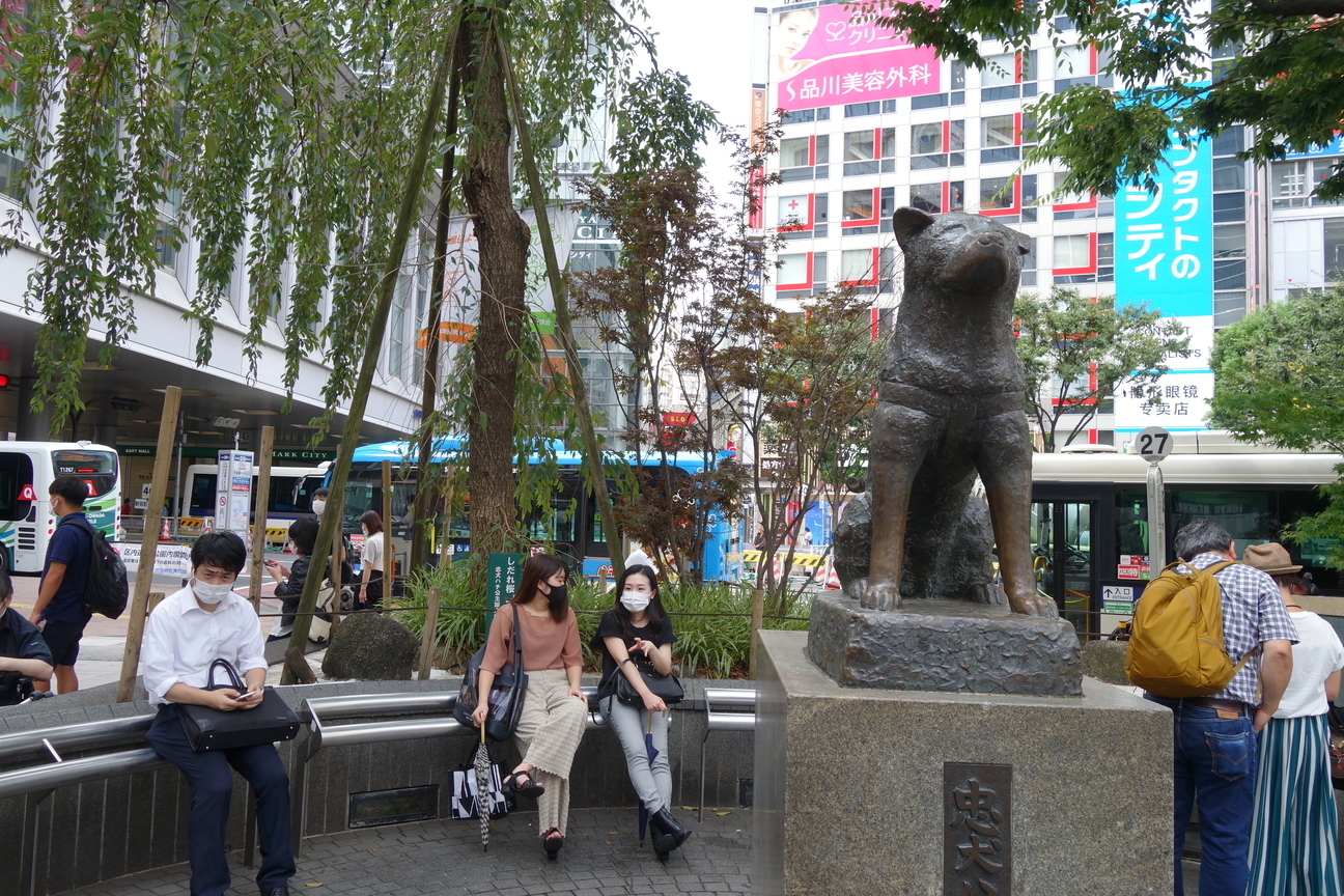 f:id:kimamanidance:20200929015229j:plain f:id:kimamanidance:20200929015229j:plain
