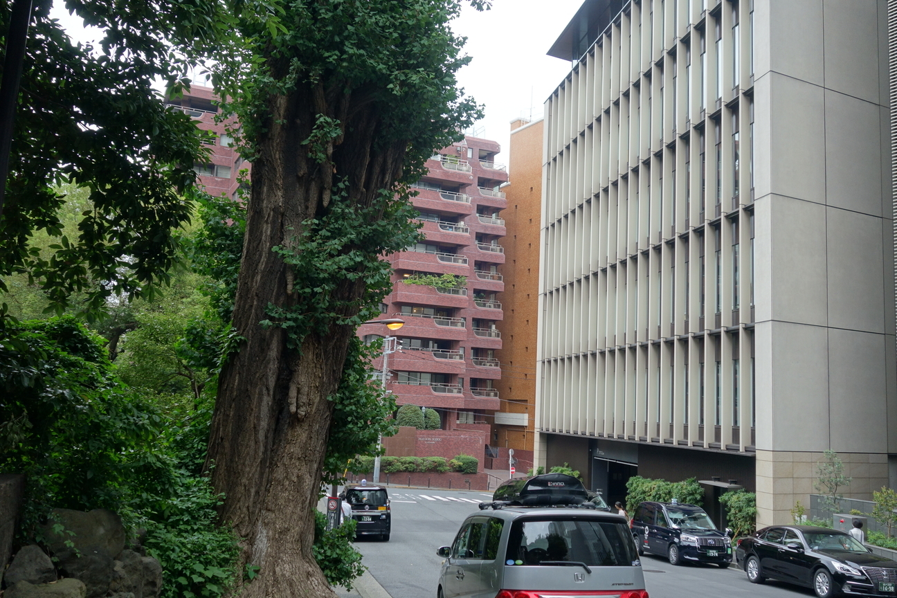 f:id:kimamanidance:20201004234935j:plain f:id:kimamanidance:20201004234935j:plain