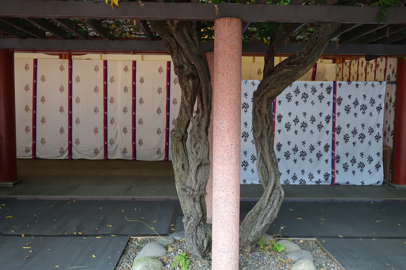 f:id:kimamanidance:20201004235050j:plain f:id:kimamanidance:20201004235050j:plain