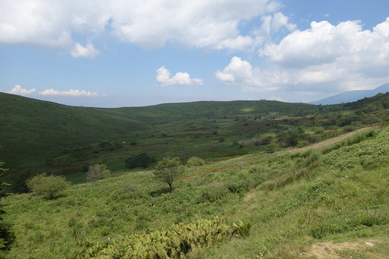 f:id:kimamanidance:20201014015742j:plain f:id:kimamanidance:20201014015742j:plain