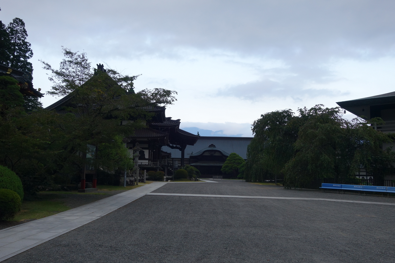 f:id:kimamanidance:20201014020643j:plain