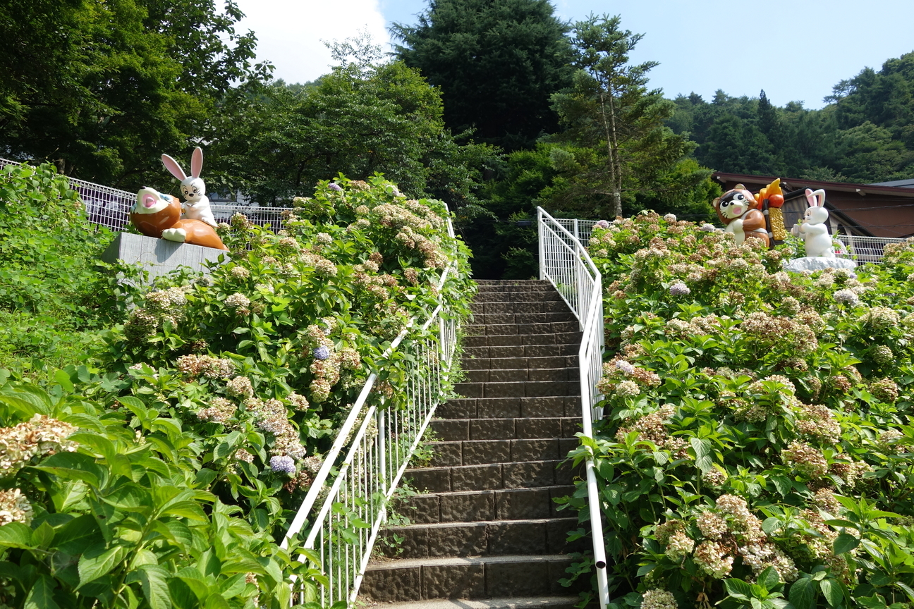 f:id:kimamanidance:20201014022552j:plain f:id:kimamanidance:20201014022552j:plain