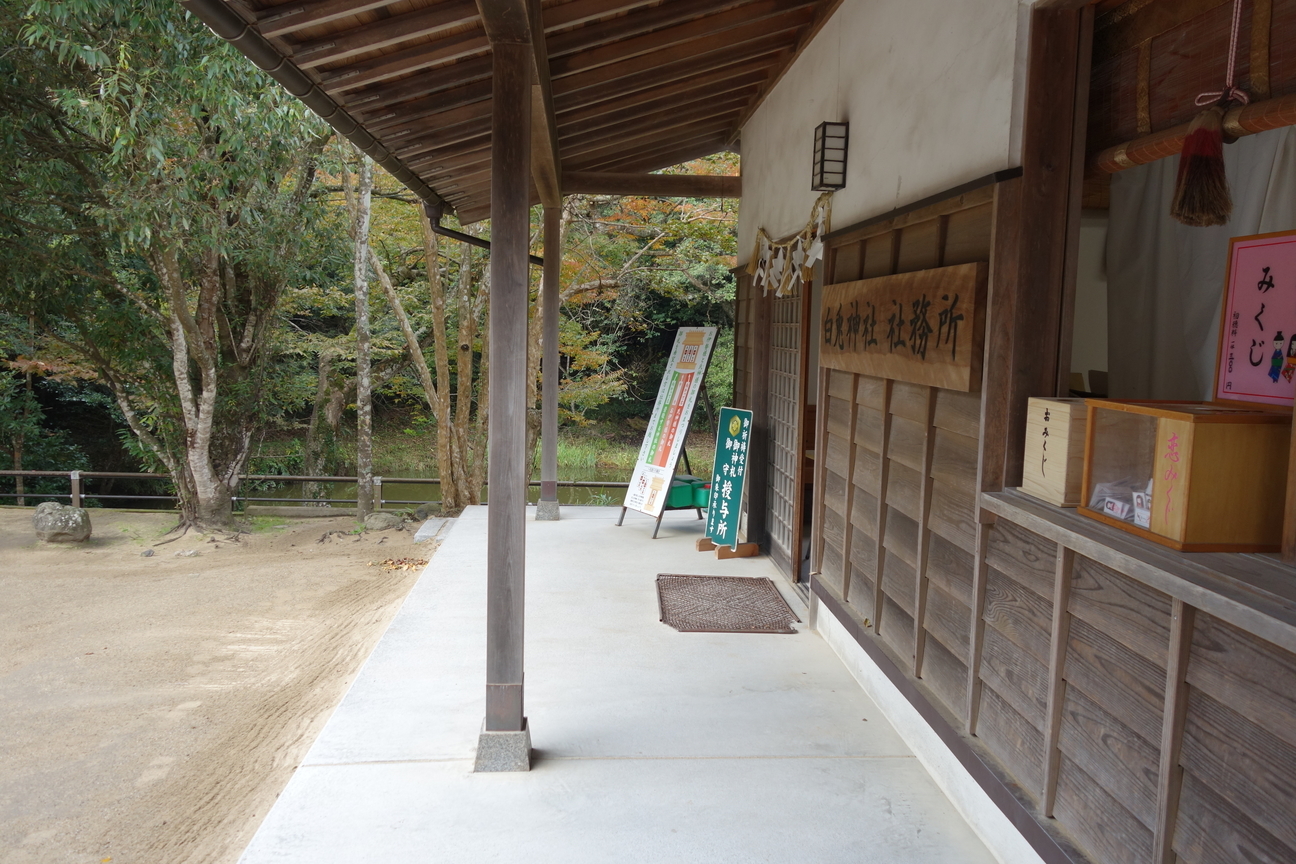 f:id:kimamanidance:20201104090832j:plain