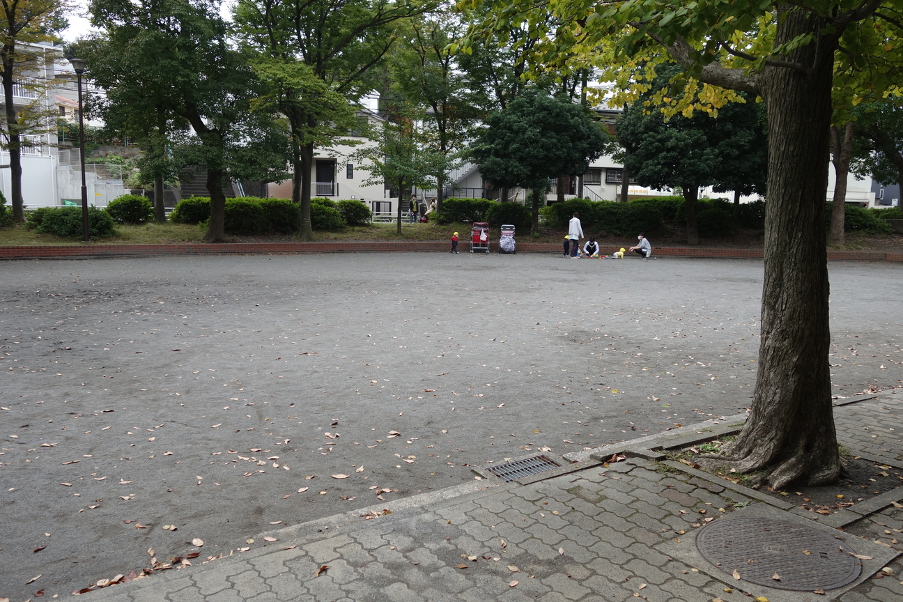 f:id:kimamanidance:20201105130121j:plain