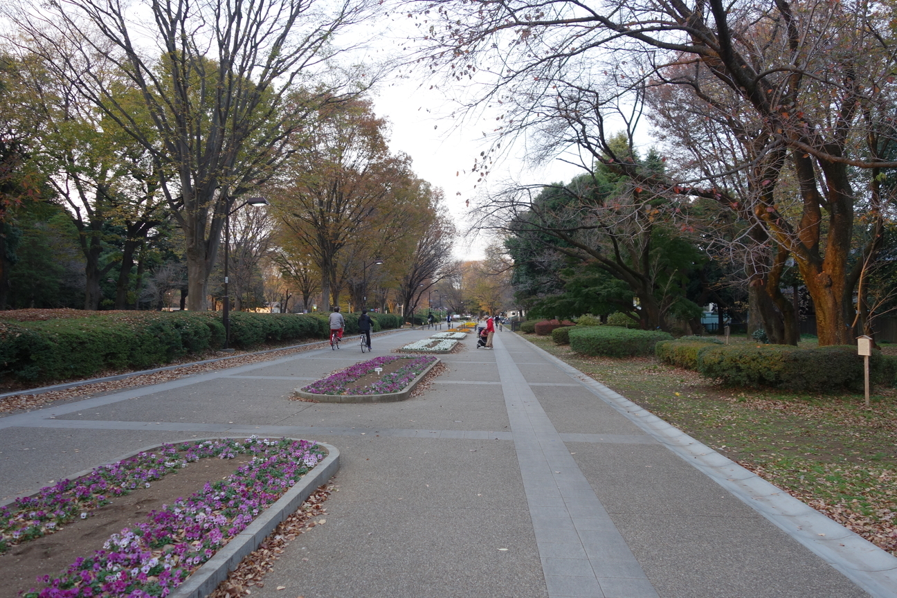f:id:kimamanidance:20201201025314j:plain