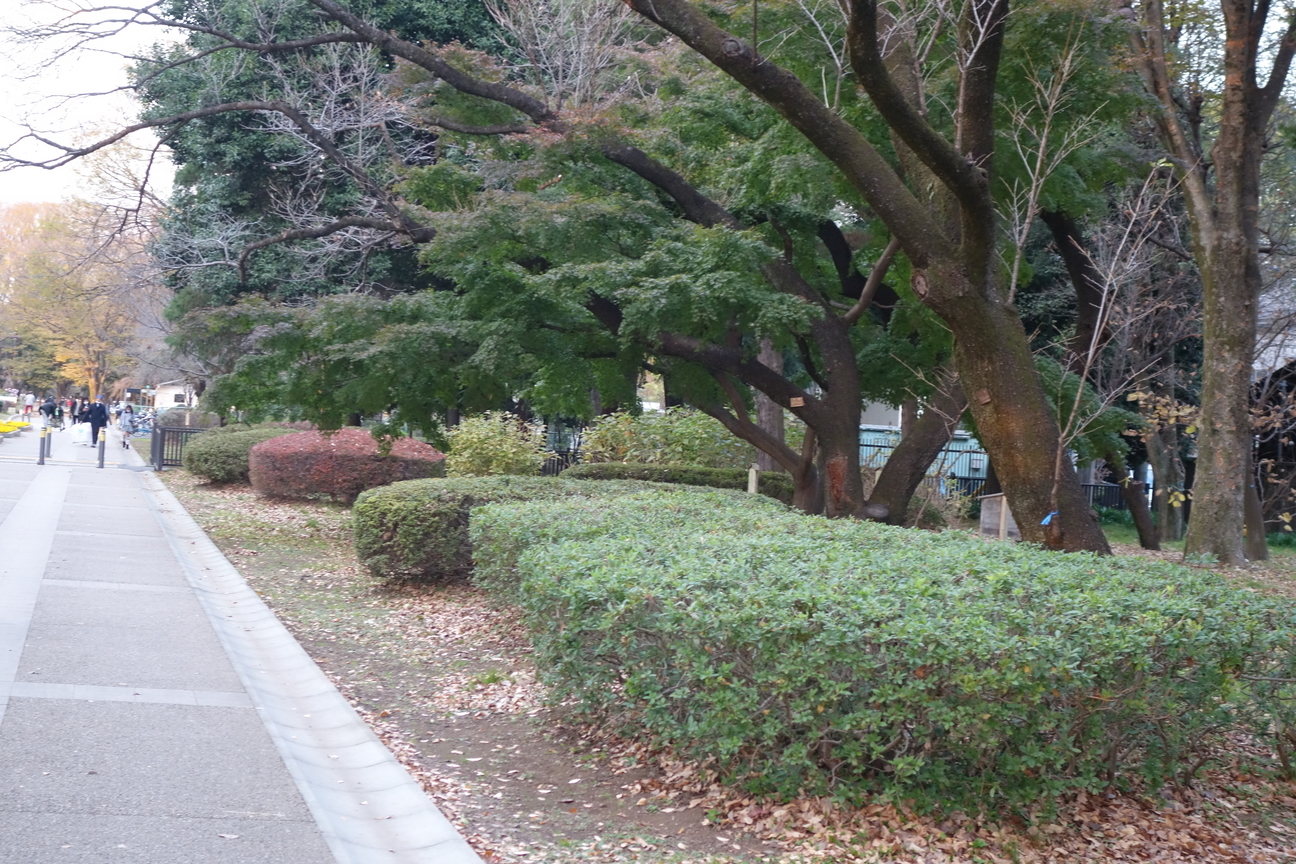 f:id:kimamanidance:20201201025350j:plain