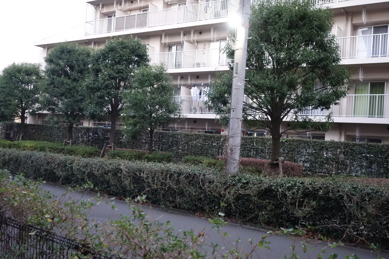 f:id:kimamanidance:20201201025545j:plain