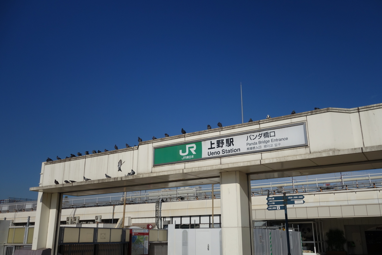 f:id:kimamanidance:20201201030308j:plain