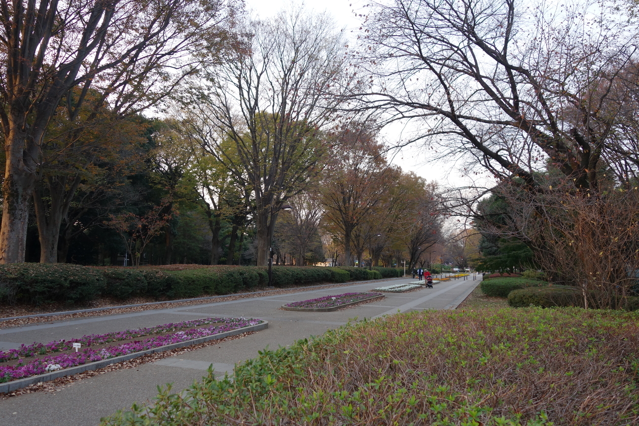 f:id:kimamanidance:20201201100221j:plain