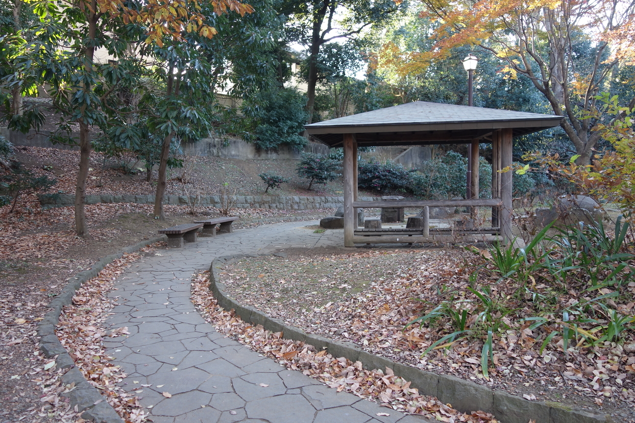 f:id:kimamanidance:20201220151123j:plain