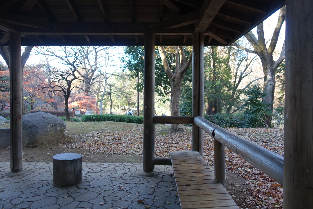 f:id:kimamanidance:20201220151149j:plain