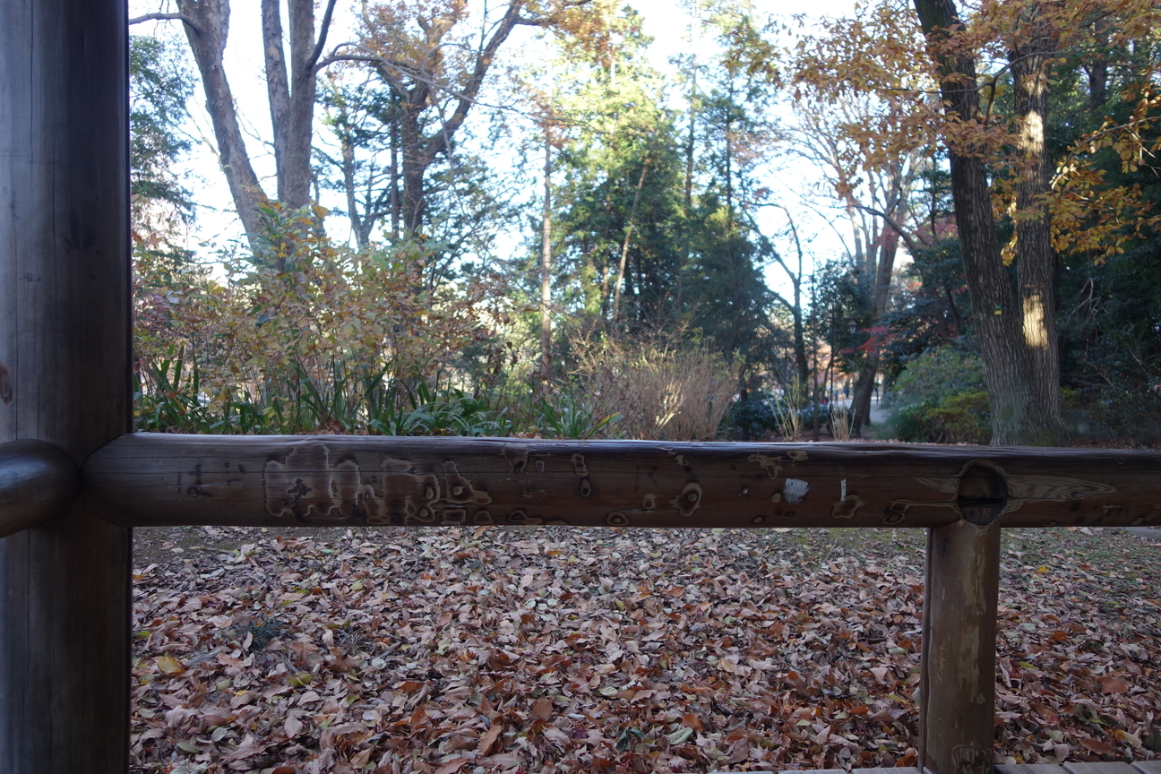 f:id:kimamanidance:20201220151206j:plain