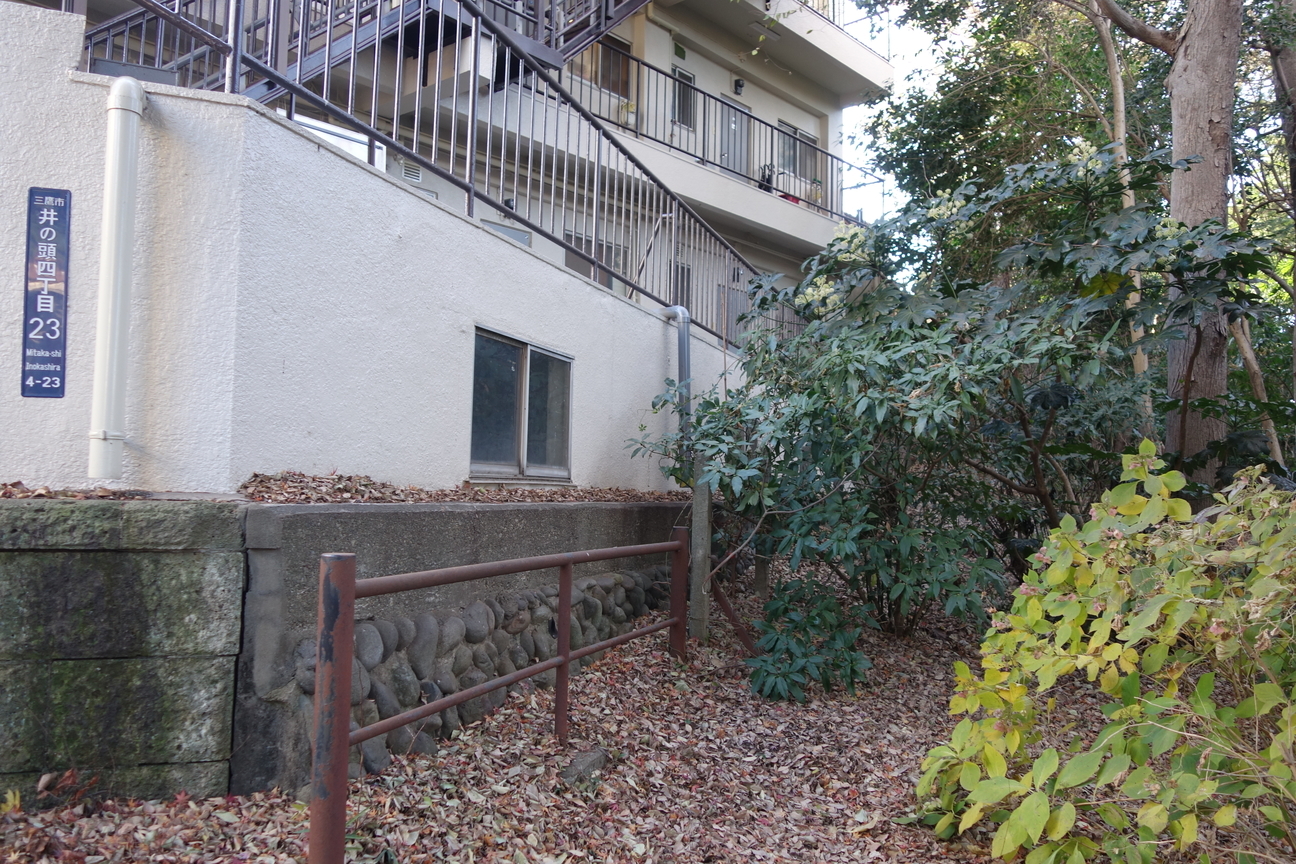 f:id:kimamanidance:20201220151903j:plain