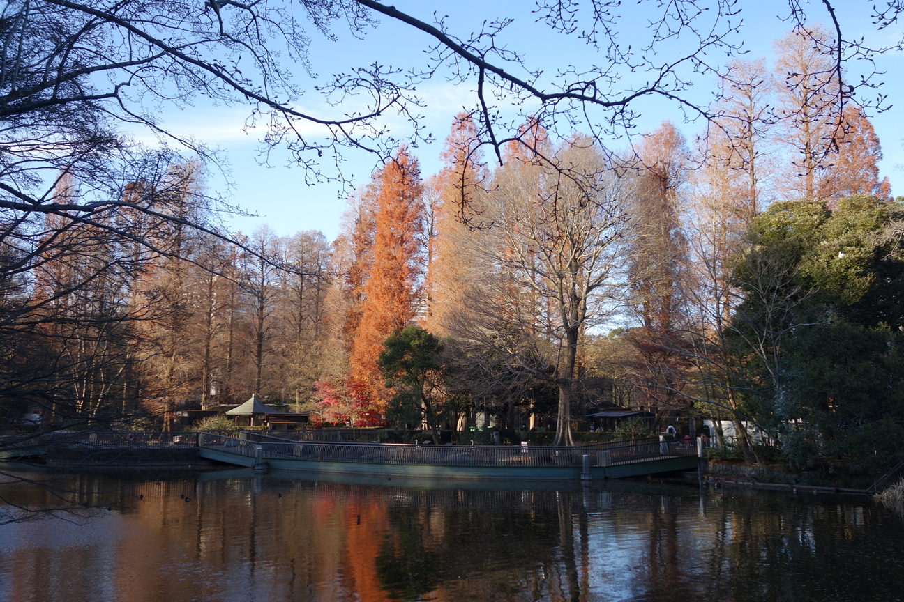 f:id:kimamanidance:20201220152110j:plain