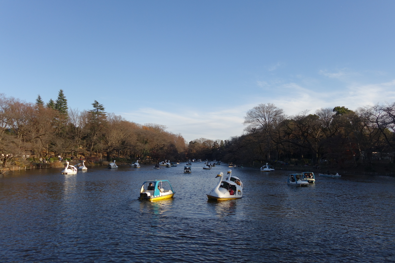 f:id:kimamanidance:20201220152348j:plain