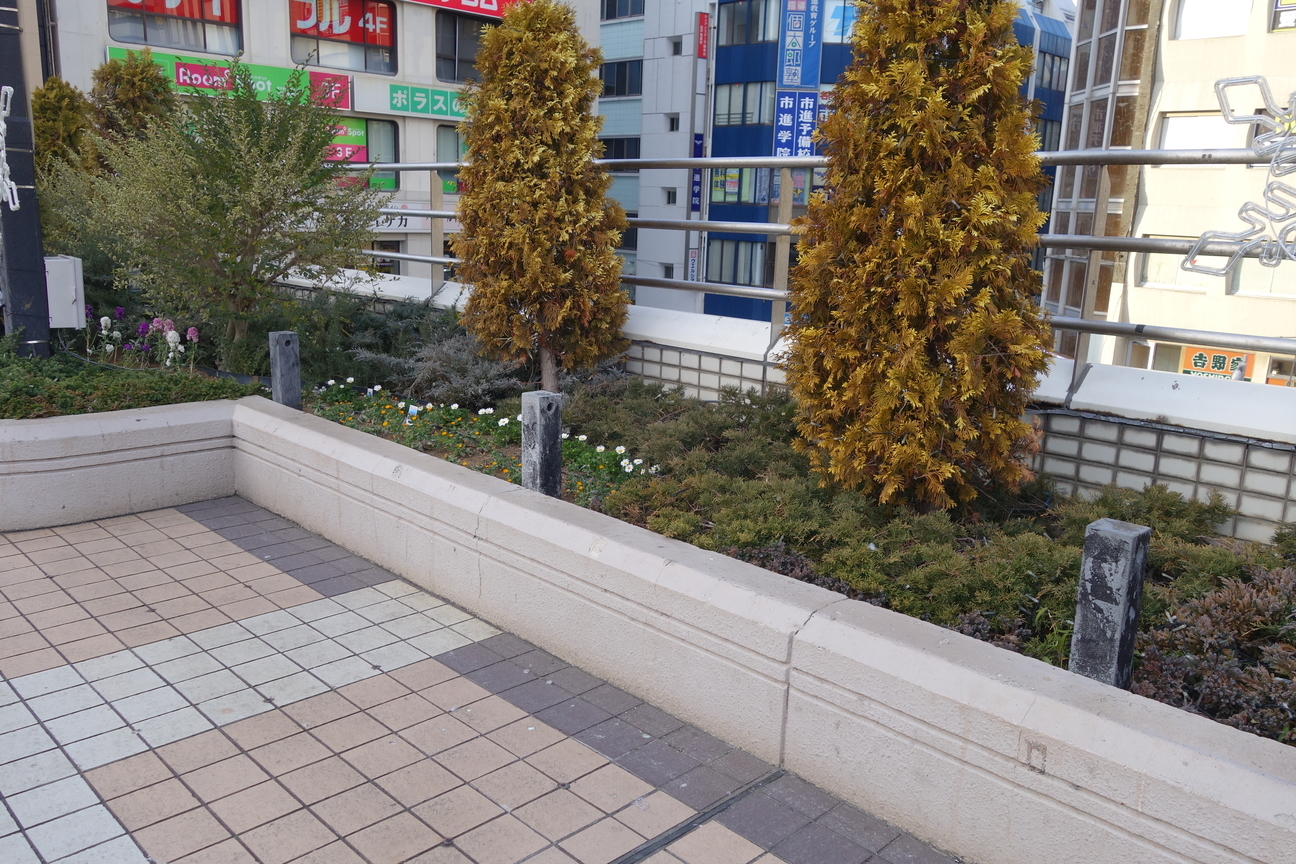 f:id:kimamanidance:20210109153201j:plain