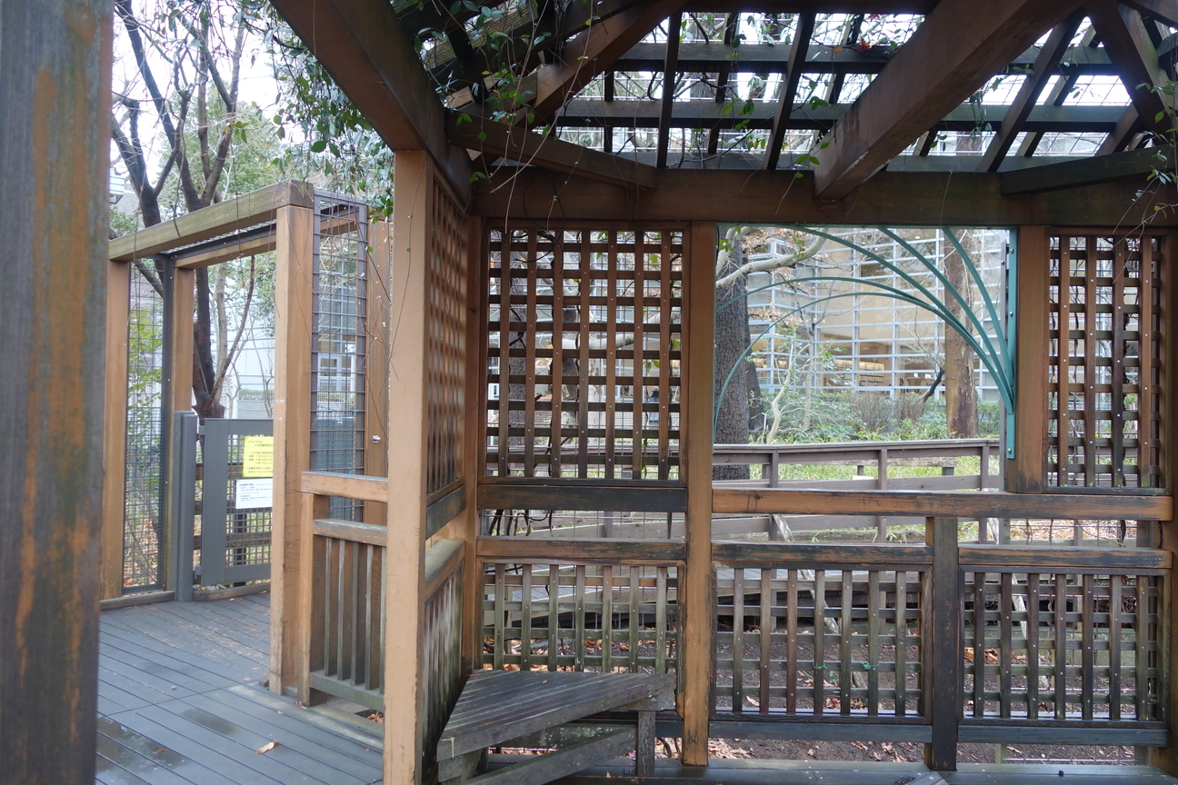 f:id:kimamanidance:20210124141247j:plain