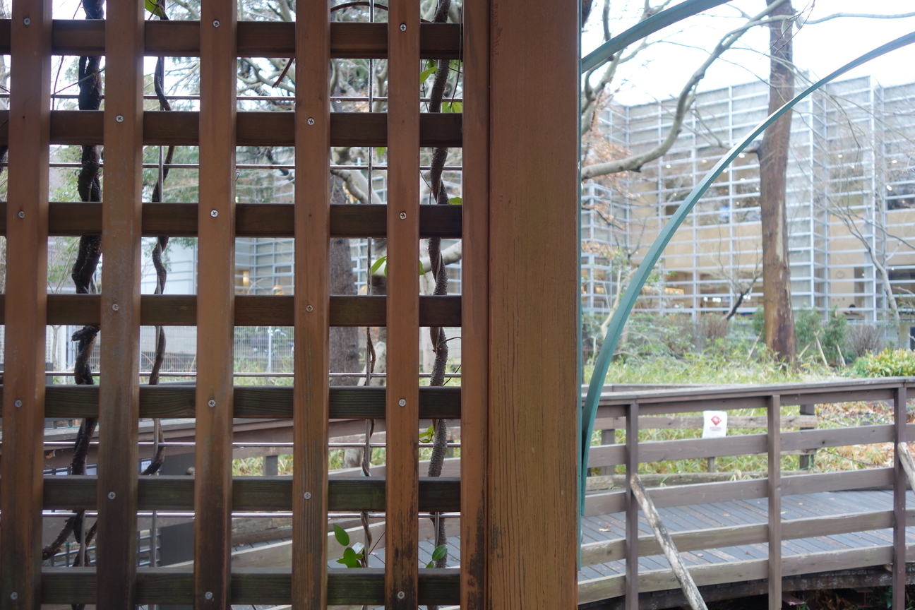 f:id:kimamanidance:20210124141303j:plain