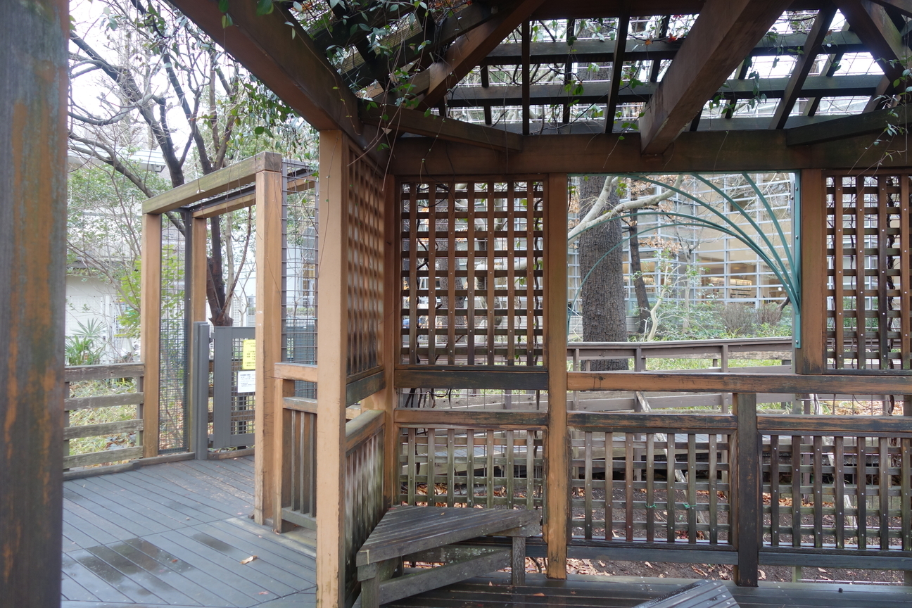 f:id:kimamanidance:20210124141324j:plain