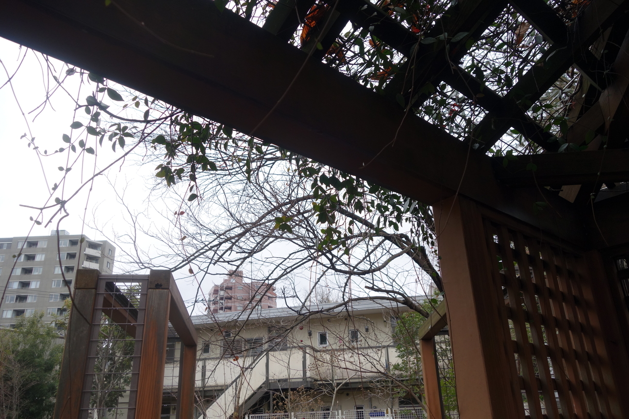 f:id:kimamanidance:20210124141336j:plain